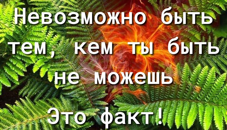 Невозможно быть тем кем ты быть неЁожешьріо