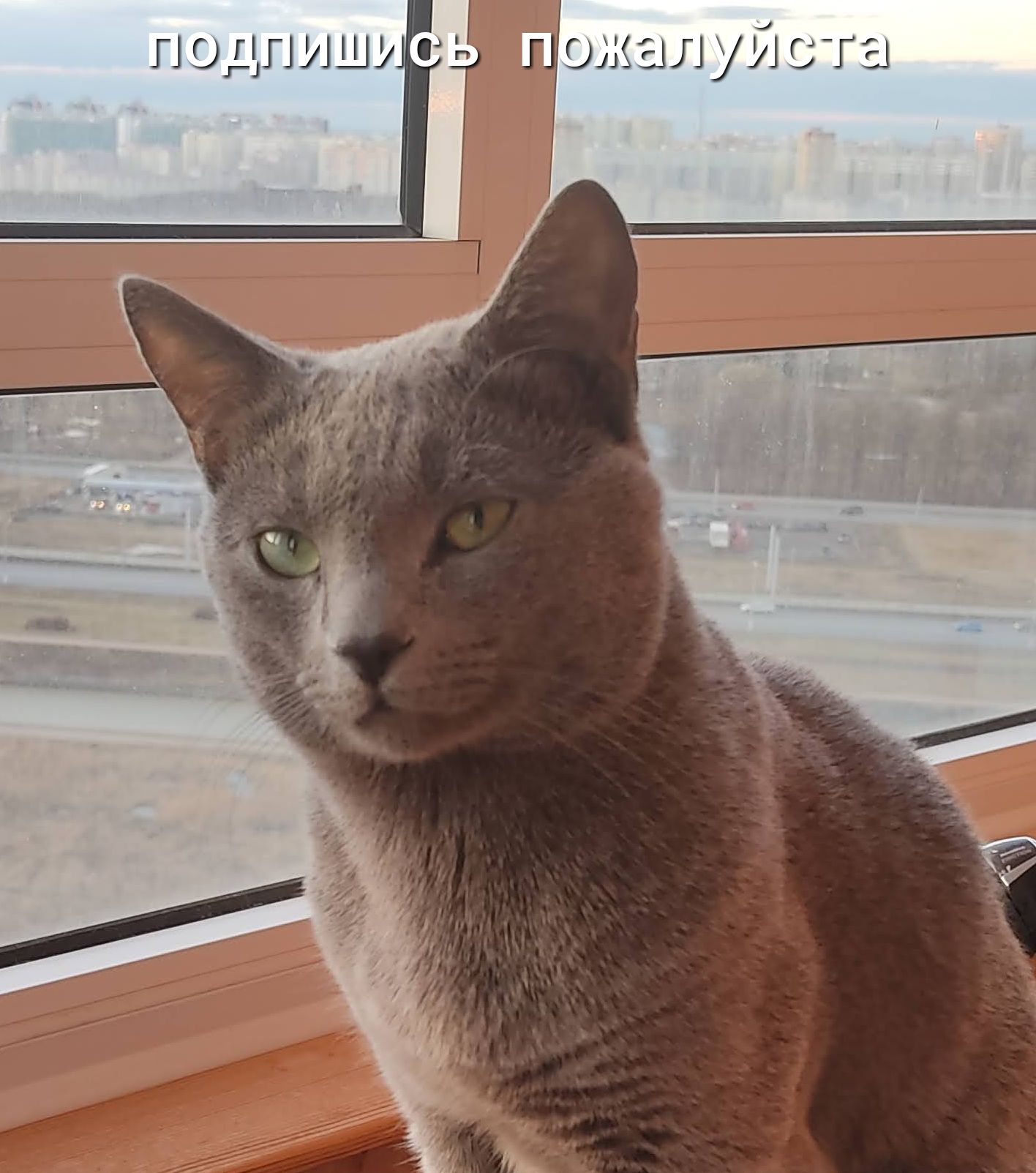 псдпишэгд гэжэлуивт