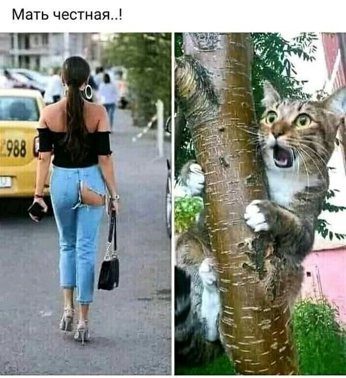Мать честная