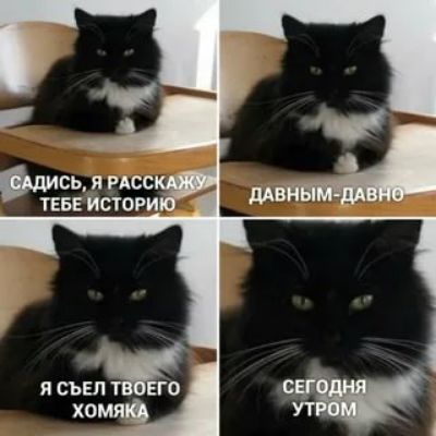 Дись. Я расс тебе йстори!