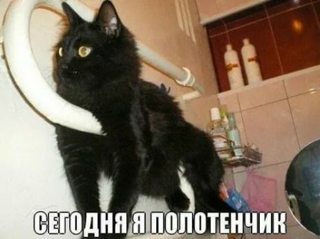 Ёж п 1 г т пднпЩшютннЧинК