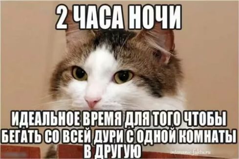 2 ЧАСА НВЧИ идипіинпъвгшшддщшчтовы Біппь спГШТЕИ шап нои иомнпты ВБППЮД _