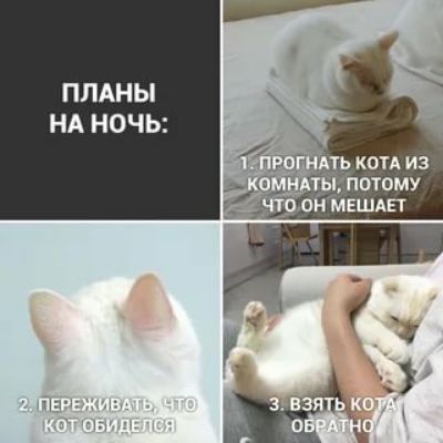 ппц ПЛАНЫ НА НОЧЬ