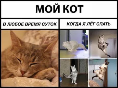 МОЙ К В ЛЮБОЕ ВРЕМЯ СУТОК КОГДА ЯЛЁГ СПАТЬ