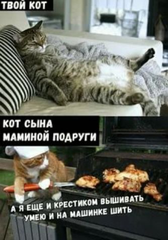 кот сыид минной подруги _ йде _ мт _ пиков пиши шипит уи_п инд пшик
