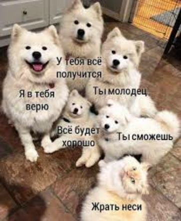 У с е ПОЛ ЧИТС у д _ Я п тебя Тымолод верю _ _