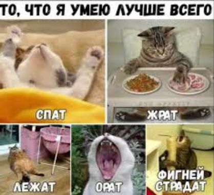 то что я шею лучше всего