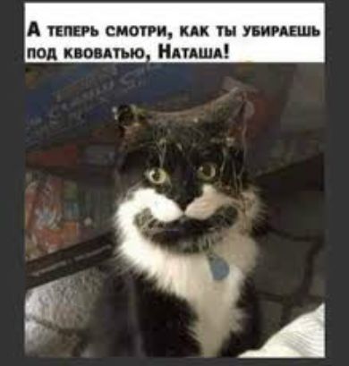 пип СИОТРИ КАК