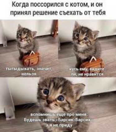 Когда ПОССОРИЛСИ С КОТОМ И ОН ПРИНЯЛ РЕШЕНИЕ СЪЕХВТЬ ОТ тебя ними пи пря пп испании що про ши Ьумшь 1 51 ммвиви д не прим _