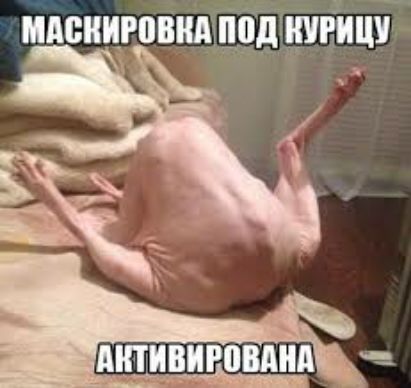 мдаиигошдбдшници