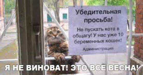 На пускать коп в обшгуУивСУЖ810 беременных каши истип 31 Ц
