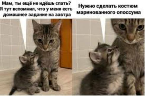 ши еще идешь сипи туч вспомнил чта 1 при домашнее зашит щ завтра Нужно сдемь коспои царица зимми опоссуиа