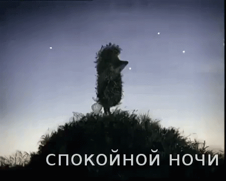 Спокойной ноччи