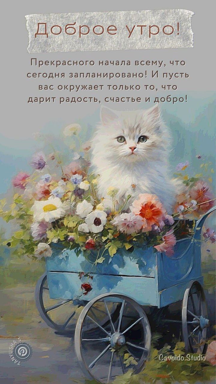 Доброе утро Прекрасного начала всему что сегодня запланировано и пусть вас окружает только то что дарит радость счастье и добро