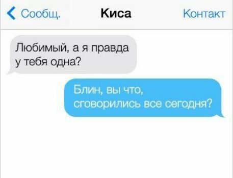 сообщ. Киса контакт