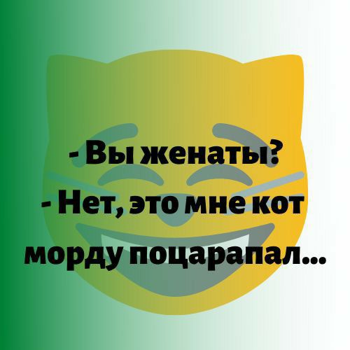 Вы женаты Нет это мне кот морду поцарапан