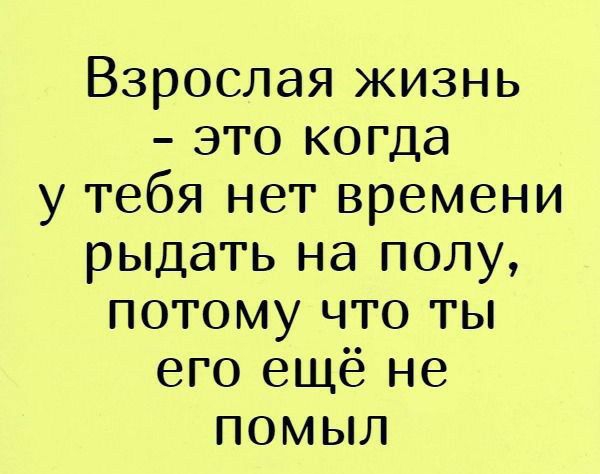 Взрослая жизнь это когда у тебя нет времени рыдать на полу потому что ты его ещё не помыл