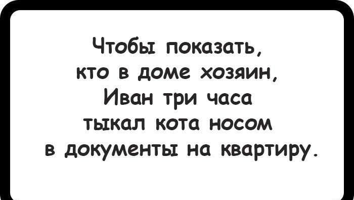 Чтобы показать кто в доме хозяин Иван три часа тыкал кота носом в документы на квартиру