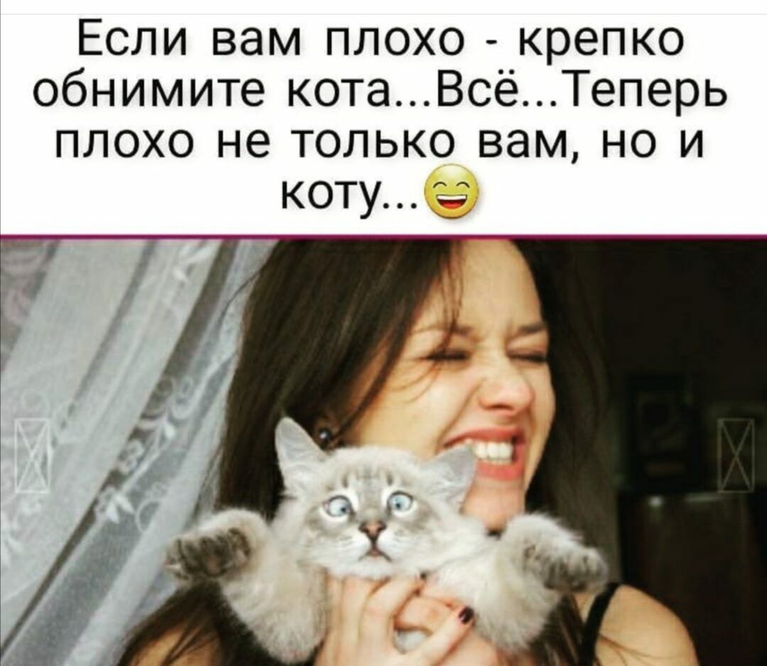 Если вам плохо крепко обнимите котаВсёТеперь плохо не только вам но и коту 23