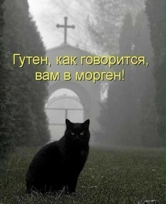 1 как говор В іМ В Мергэ _