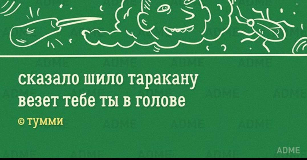 сказало ШИЛО таракану везет тебе ТЫ В голове тумми