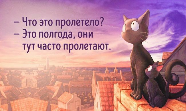 Что это пролетело Это полгода они тут часто пролетают