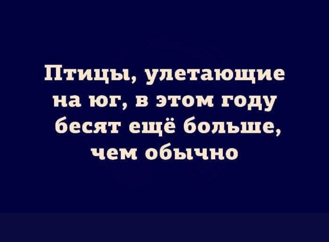 Птицы уде тающие на юг в этом году бесят ещё больше чем обычно