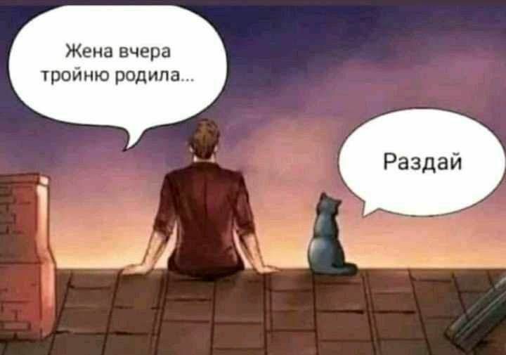 Жена вчера тройню родила Раздай _ ___ ё