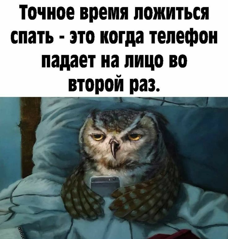ТОЧНОЕ время ложиться спать это когда телефон падает на лицо во второй раз