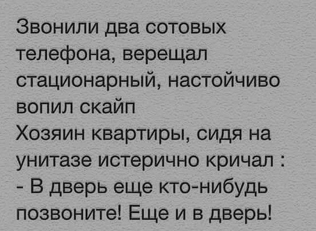 Звонили два сотовых телефона верещал стационарный настойчиво вопил скайп Хозяин квартиры сидя на унитазе истерично кричал В дверь еще ктонибудь позвоните Еще и в дверь