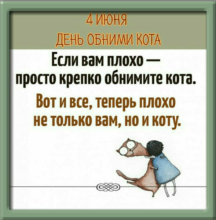 ДЕНЬ БНИМИ Если вам плохо просто крепко обнимите кота Вот и все теперь плохо не только вам НО И К0ТУ