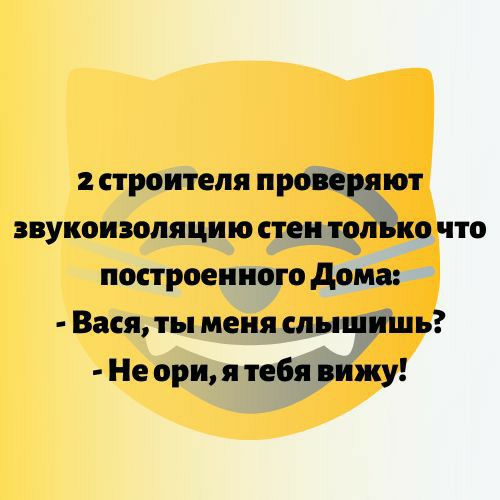 строителя проверят звукоизоляцию стен тояіъко что построенного дома Вася ты меня слышиш ь Не ори я тебя вижу