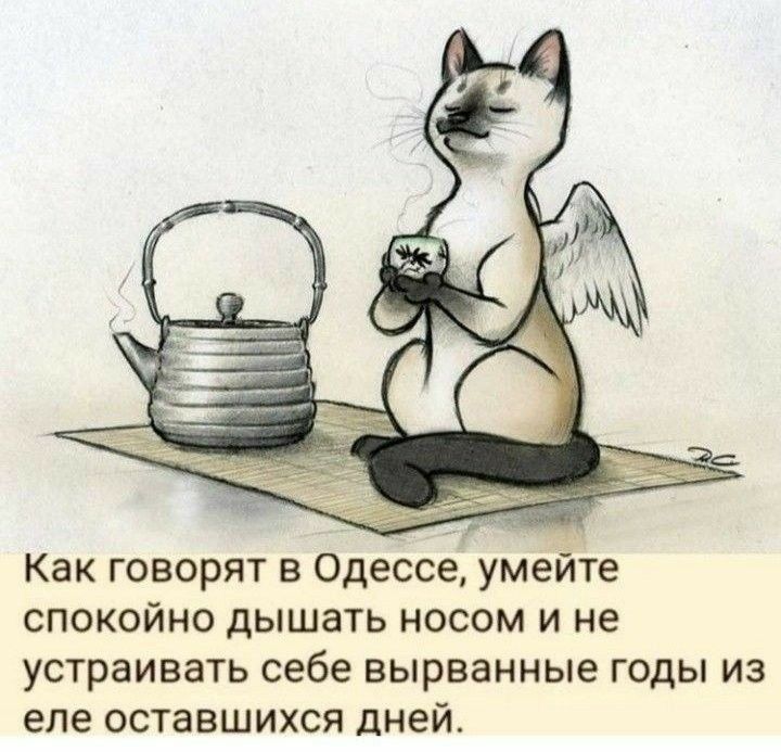 Как говорят в Одессе умейте спокойно дышать носом и не устраивать себе вырванные годы из еле оставшихся дней