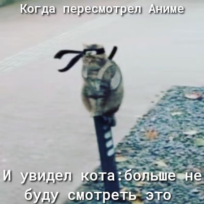 _ и У _ пара шит рэп Алиша