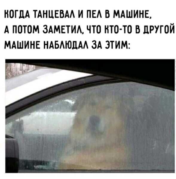 НОГдА ТАНЦЕБАА И ПЕА В МАШИНЕ А ПОТОМ ЗАМЕТИА ЧТО НТО ТО В ЦРУГОЙ МАШИНЕ НАБМОдАА ЗА ЭТИМ
