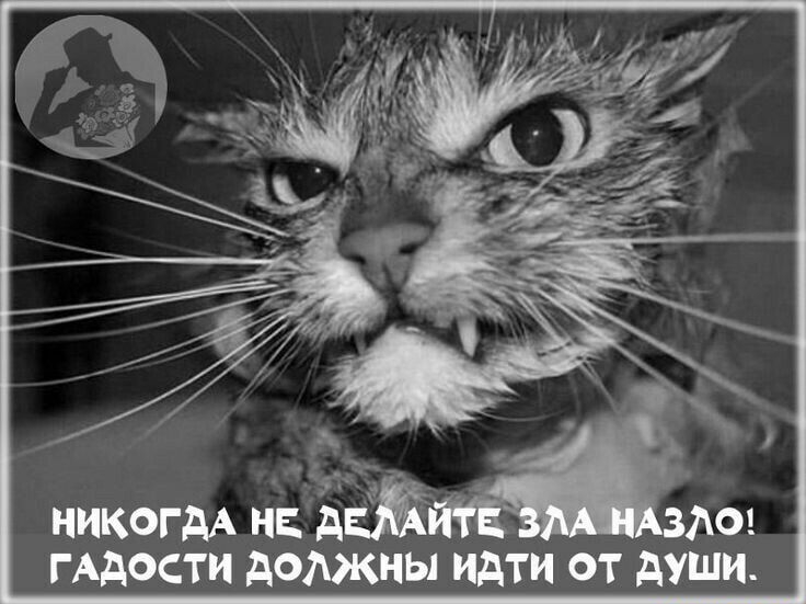 ГАДОСТИ АОМКНЫ цдти от дУШИ