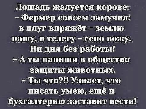 Лошадь жалуется корове Ферйер совбем замучил в плуг впряжёт зеМлю Пашу в телегу сено вожуі Ни дня без работы Аты напиши в общества защиты животных Ты что ваетчто Писатъумеюещё и бухгалтериюааставпт вести