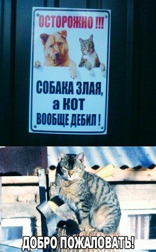 ПСЮЮШНЩ понизили а нот _вопьшъдъьил_