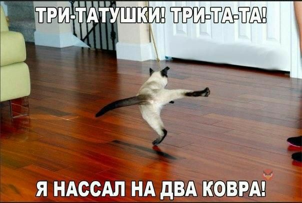 ъ т Р глйтфтуте три я НАссАл НА двд ковш