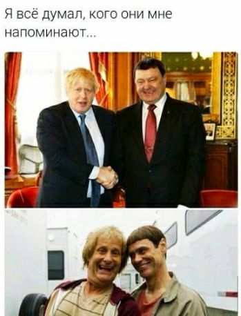 Я все думал кого они мне напоминаЮТ