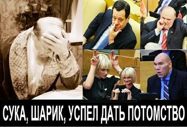 СУКА ШАРИК УСПЕЛ ДАТЬ ПОТОККСТВО