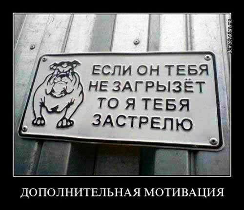 если он твыЁ НЕ ЗАГРЫЗЕТ то я ТЕБЯ ц здстрелю ДОПОЛНИТЕЛЬНАЯ МОТИ ВАЦИЯ