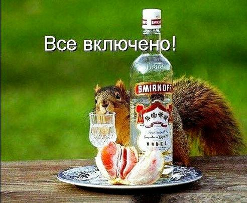 Люч все вк