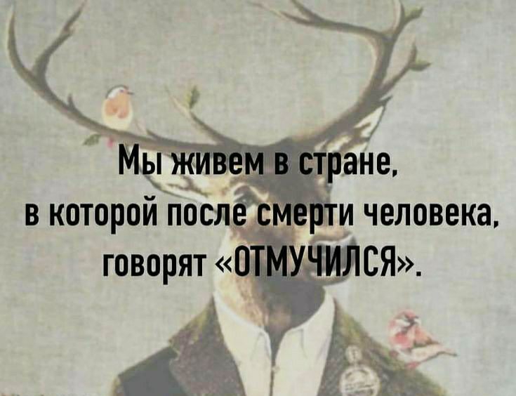 В КОТОРОЙ дм И И ЧОЛОВОКО