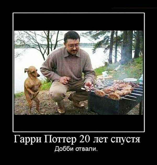 Гарри Поттер 20 лет спустя Добби отвали