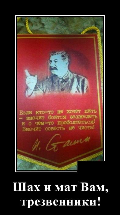 Шах и мат Вам трезвенники