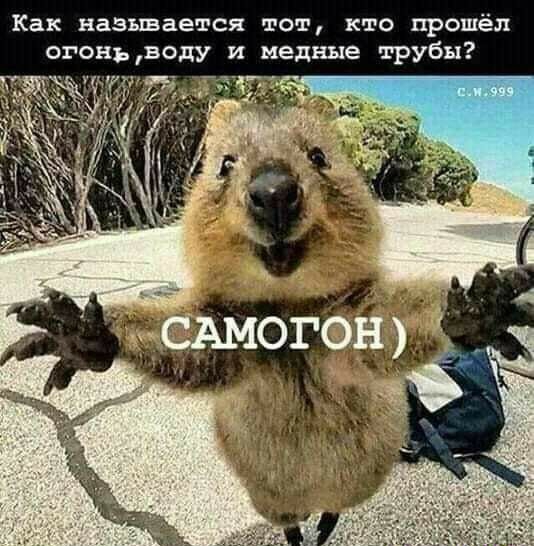 Как называется тот кто прошёл огонь воду и медные трубы