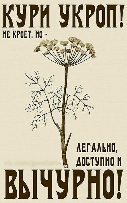 КЧРН ЧКРОП НЕ КРПЕТ НПЗ __ АЕГААЬНО дпстчпнп н ВЫЧЧРНО