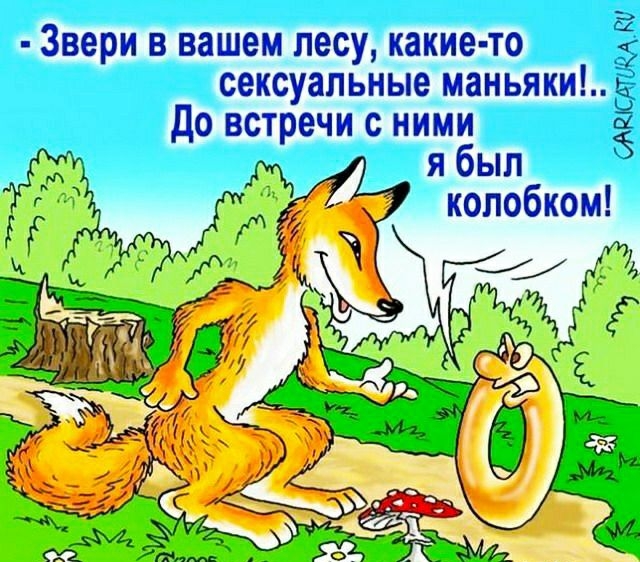 Звери в вашем лесу какие то Ё сексуальные маньяки 2 до встречи с ними я был колобком