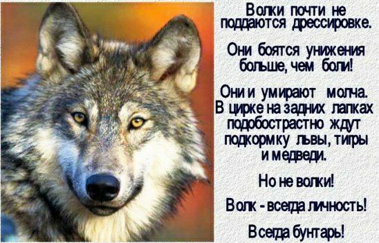 Впгки почти не тддаотся диспаша От боягся ж ВОШИ умирает мана щжешзацих тах ттбострастю ждут щормку гьвытиры имешедд Но на ветку Вогк воедапнюсть Всетбутюь